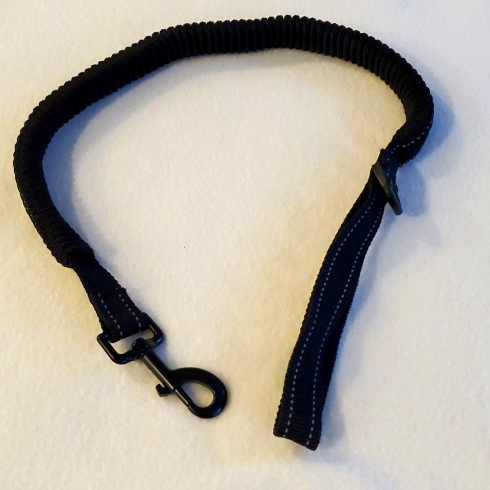 Black Bungee Dog Leash